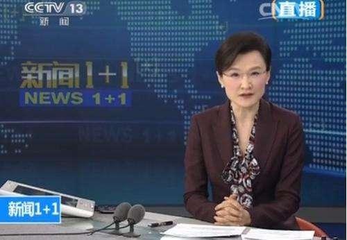 王年华央视记者背景,聚焦时代脉搏，讲述中国故事