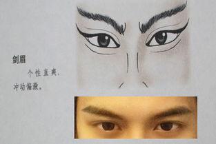 剑眉的照片,风采独具——探寻剑眉之美