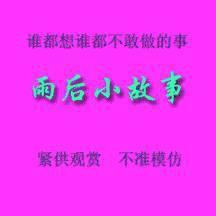 雨后的图片,雨后清新景致掠影